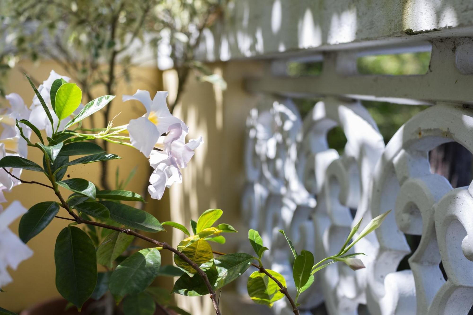 Alloggio per agriturismo Quinta Hortensias *