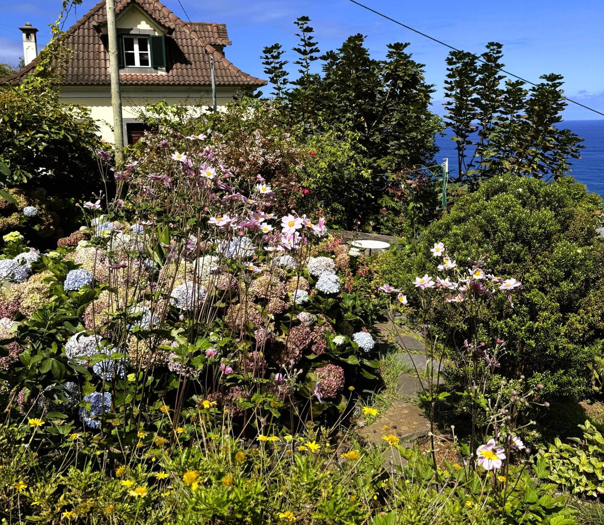 Quinta Hortensias Alloggio per agriturismo