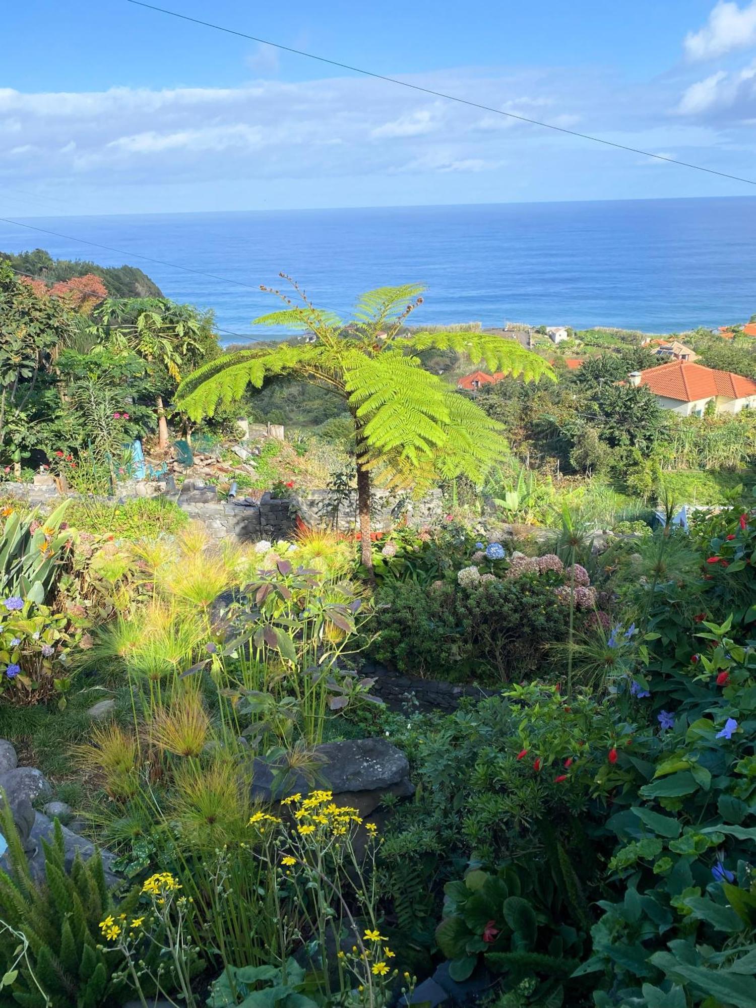 Farm stay Quinta Hortensias Arco de Sao Jorge