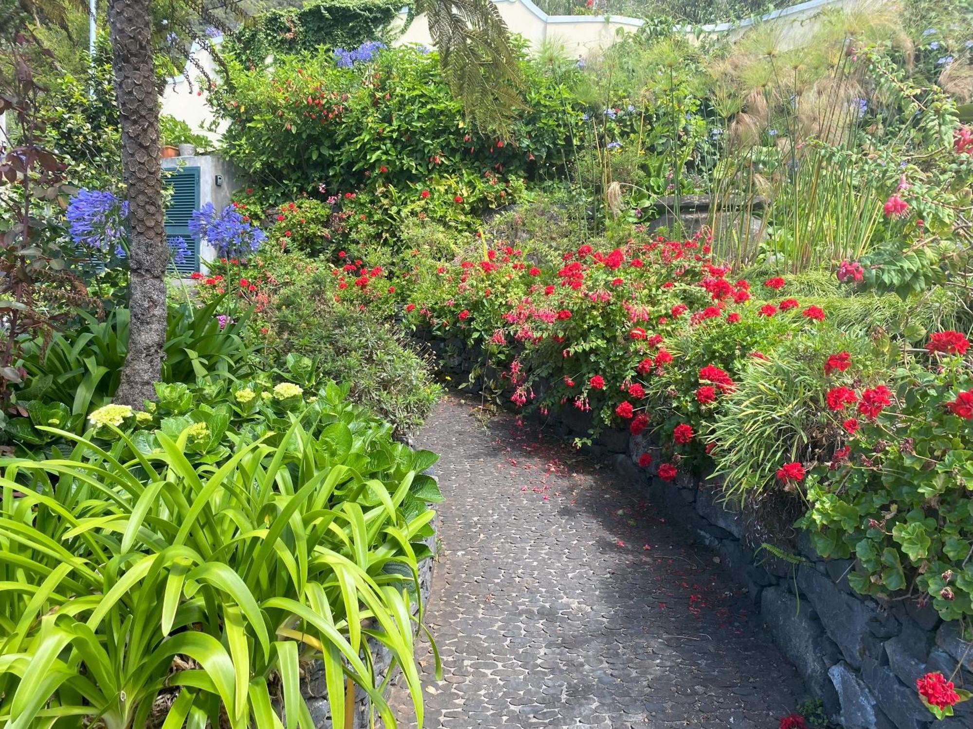 Quinta Hortensias Farm stay